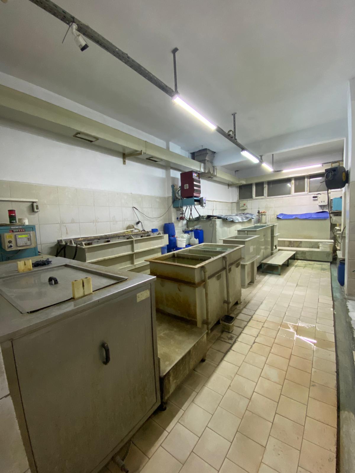 WhatsApp Image 2024-03-02 at 11.15.25 (1)